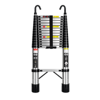 Échelle Télescopique en Acier Inoxydable avec Crochets – 5 m – EN131 – Charge 150 kg